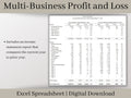 Multi-Business Profit and Loss Spreadsheet, Google Sheets Small Business Template, Income and expense tracker for multiple side hustles.