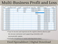 Multi-Business Profit and Loss Spreadsheet, Excel Small Business Template, Perfect income and expense tracker for multiple businesses.