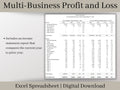 Multi-Business Profit and Loss Spreadsheet, Excel Small Business Template, Perfect income and expense tracker for multiple businesses.