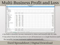 Multi-Business Profit and Loss Spreadsheet, Excel Small Business Template, Perfect income and expense tracker for multiple businesses.