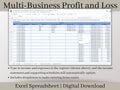 Multi-Business Profit and Loss Spreadsheet, Google Sheets Small Business Template, Income and expense tracker for multiple side hustles.