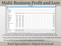 Multi-Business Profit and Loss Spreadsheet, Google Sheets Small Business Template, Income and expense tracker for multiple side hustles.