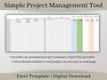 Streamlined Profit & Loss and Project Management Template: Digital Planner for Easy Bookkeeping and Financial Success. Excel Download